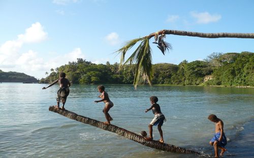 Tanna Island, an island in Vanuatu. (AAP)