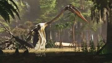 That&#x27;s one giant reptile. The pterosaur Quetzalcoatlus is depicted in this artist&#x27;s illustration. (The University of Texas at Austin/Jackson School of Geosciences)