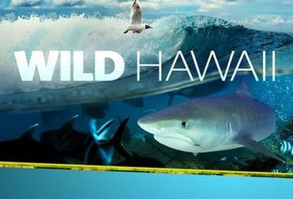 Wild Hawaii