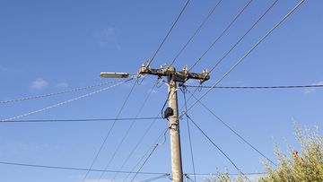 Telegraph Pole with Cable Lines in a Australian suburb.