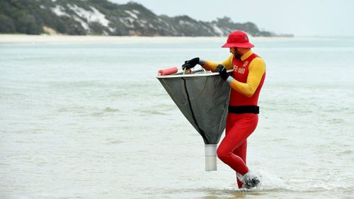 Fraser Island swimmers warned after Irukandji jellyfish caught