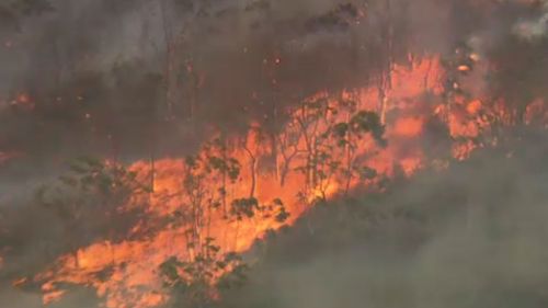 Bushfire risk for one million NSW homes