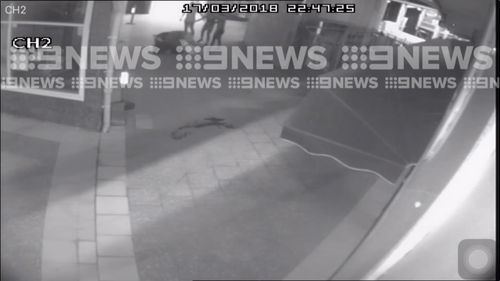 The pair wrestle on the ground as the woman attempts to break up the brutal fight. (9NEWS)
