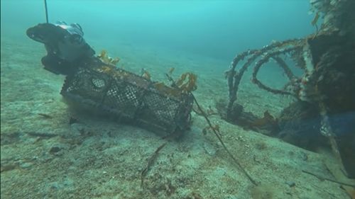 They're underwater ROVs or drones that can double as a dive buddy, capturing crucial information about marine life and carrying out vital inspections on pipes, hulls and water tanks.