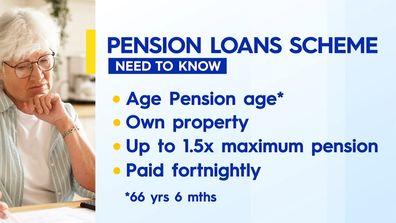 Pension loans scheme