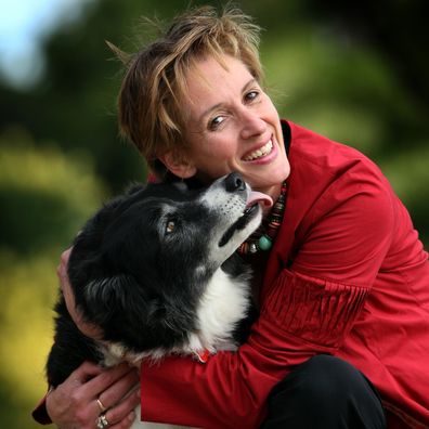 15/04/2010 NEWS: Jed, the 8-year-old border collie dog, cost his owner Jennifer Hunt $30,000 in spinal surgery after he slipped a disk chasing seagulls.
