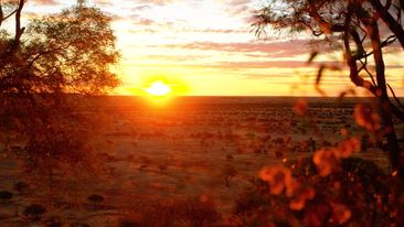 Rangelands Outback Camp