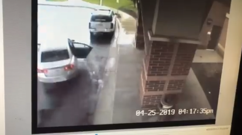 CCTV footage captured the heart-stopping moment Chance rescued his sister Skylar from their grandmother's stolen vehicle.
