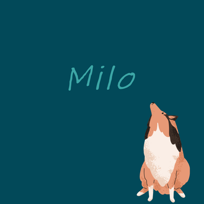 4. Milo
