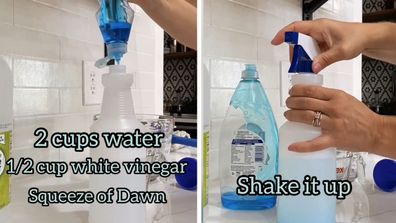 DIY cleaning spray hack TikTok windows