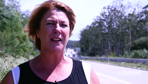 Minister Melinda Pavey is urging motorists to be patient while travelling along the M1 Motorway this Christmas.