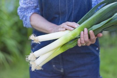 <strong>Leeks</strong>