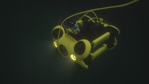 They're underwater ROVs or drones that can double as a dive buddy, capturing crucial information about marine life and carrying out vital inspections on pipes, hulls and water tanks.