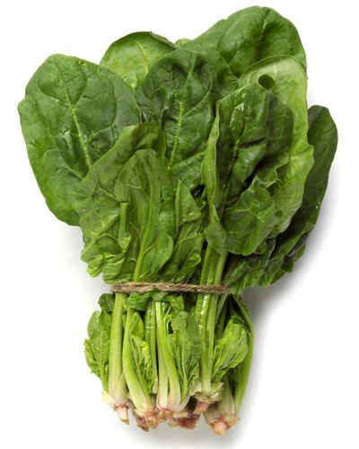 Calcium sources:
dairy, leafy greens, fish, nuts