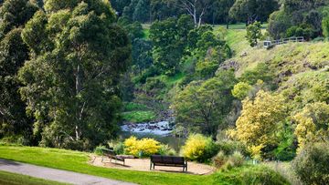 Merri Creek Trail 