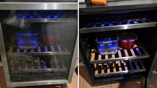 One of the wine fridges Mat converted into an incubator.
