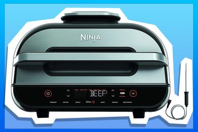 9PR: Ninja Foodi Smart XL Grill and Air Fryer