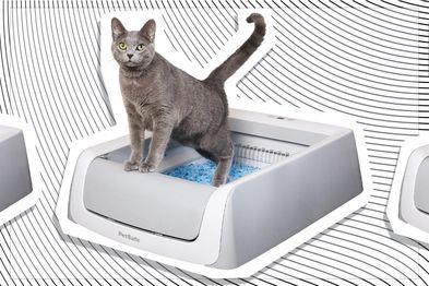 9PR: Petsafe Scoop Free Self-Cleaning Litter Box