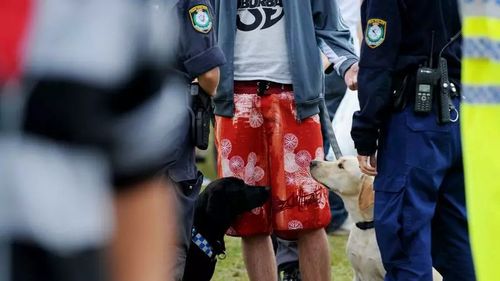 NSW Police face a major compensation bill after a ruling on an unlawful strip search at a festival.