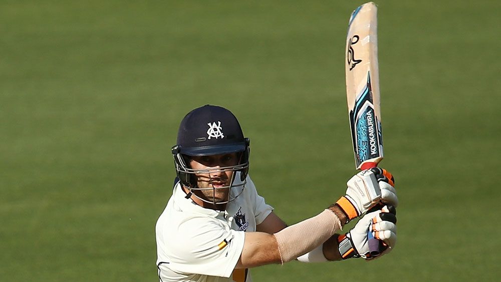 Glenn Maxwell enjoyed a good day for Victoria. (Getty Images)