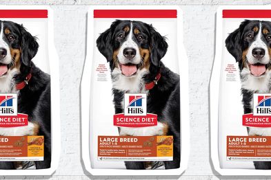 9PR: Hill's Science Diet Adult Large Breed Chicken and Barley Dry Dog Food, 12kg