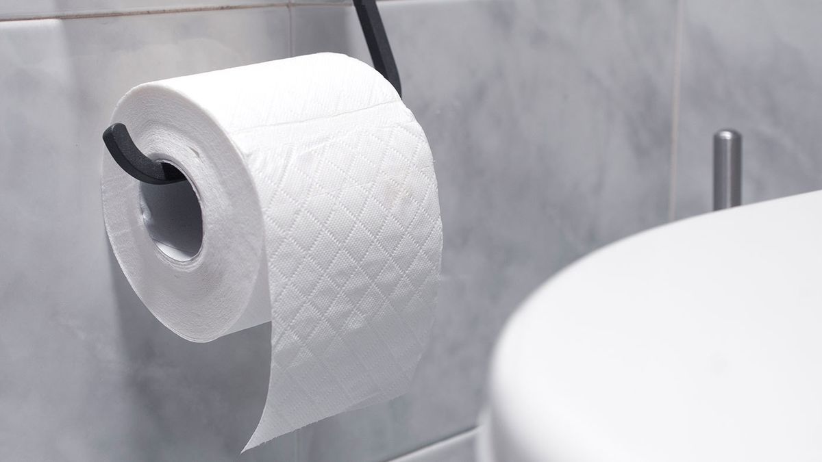 CHOICE reveals the best and worst toilet paper for 2023 - 9Honey