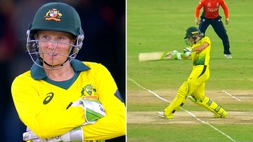 Healy defends the pay gap in Australian women’s cricket