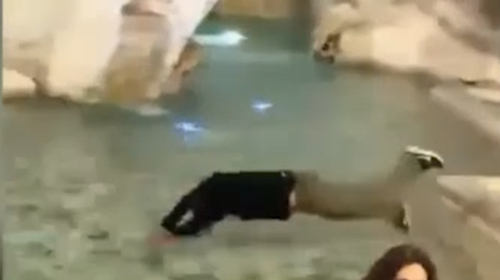 A Kiwi tourist has been fined after jumping into Rome's Trevi Fountain.﻿