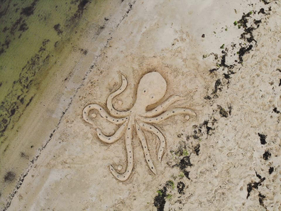 Kel Devoil creates a giant sand octopus on a Melbourne beach to cheer up locals in lockdown
