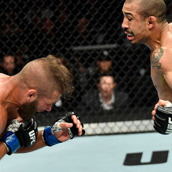 UFC star Jose Aldo Jr scores TKO victory in Calgary with devastating punch on Jeremy Stephens, video, highlights