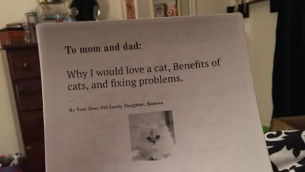 Dear Mum and Dad ... A little girl's plea goes viral. Image: Twitter/@sassysamosa