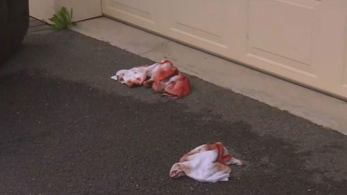 Crime scene at Adelaide home in 2017 after axe attack.