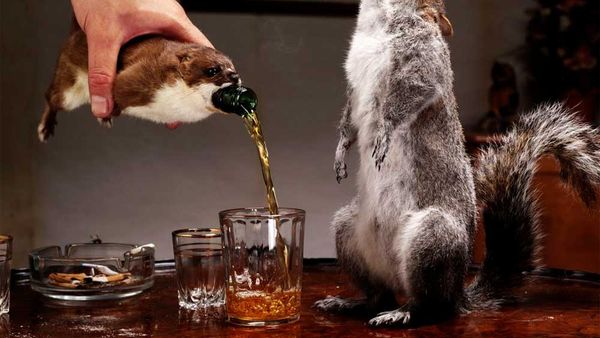 Brewdog's The End of History beer is bottled in a taxidermy squirrel