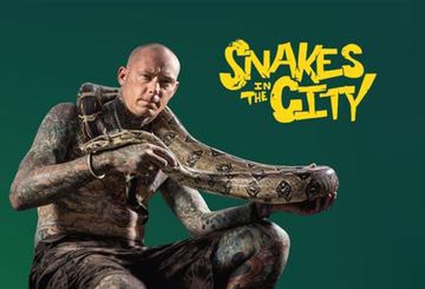 Snakes in the City