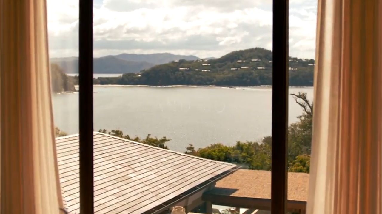 Underwater forest in Brazil