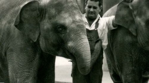 Tricia est arrivée en Australie-Occidentale à l'âge de six ans du Vietnam en 1963.