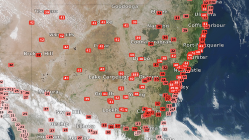 Satellite image and observed temperatures over NSW at 3pm AEDT.