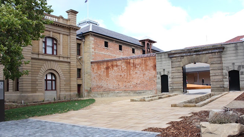 The remains of the last thylacine were found in a cupboard at the Tasmanian Museum and Art Gallery.