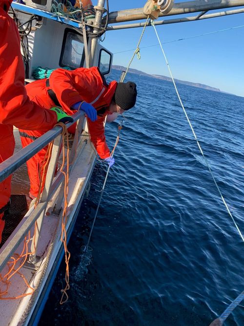 Researchers will collect water samples from around the Titanic to develop a richer picture of the biodiversity on and around the wreck.