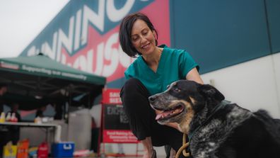Dog being patted outside a Bunnings sausage sizzle
