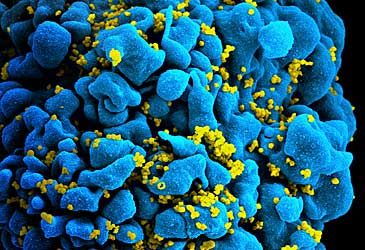 What type of cells are depleted by HIV, weakening the immune system?