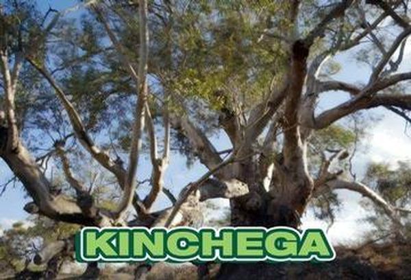 Kinchega
