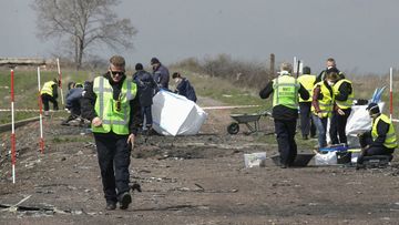 Investigators comb the crash site of Malaysian Airlines passenger jet MH17 near Donetsk.
