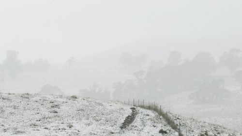 Snow covers the ground near Oberon where the temperature is 0 degrees. Oberon, NSW. 1st June, 2022. Photo: Kate Geraghty