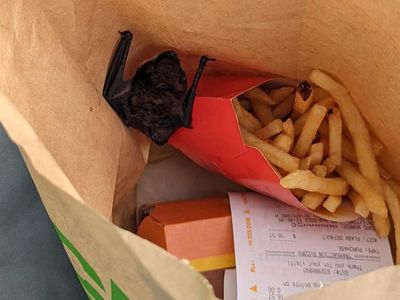 Customer shocked over discovery in McDonald's meal