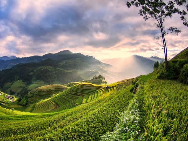 Vietnam has become an increasingly popular holiday destination for Australians. (iStock)
