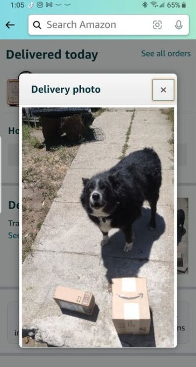 Amazon driver delivery photo dog recipient 