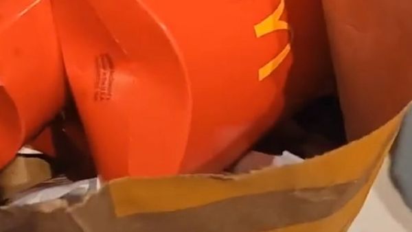 McDonald&#x27;s customer fries upside down refund in bag