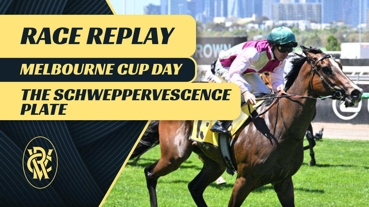 Race 4 The Schweppervescence Plate Watch Melbourne Cup Carnival Races