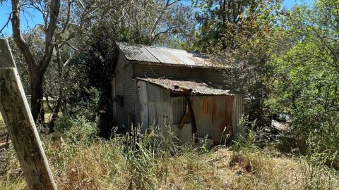 shack for sale rural nsw same price as ford ranger domain 